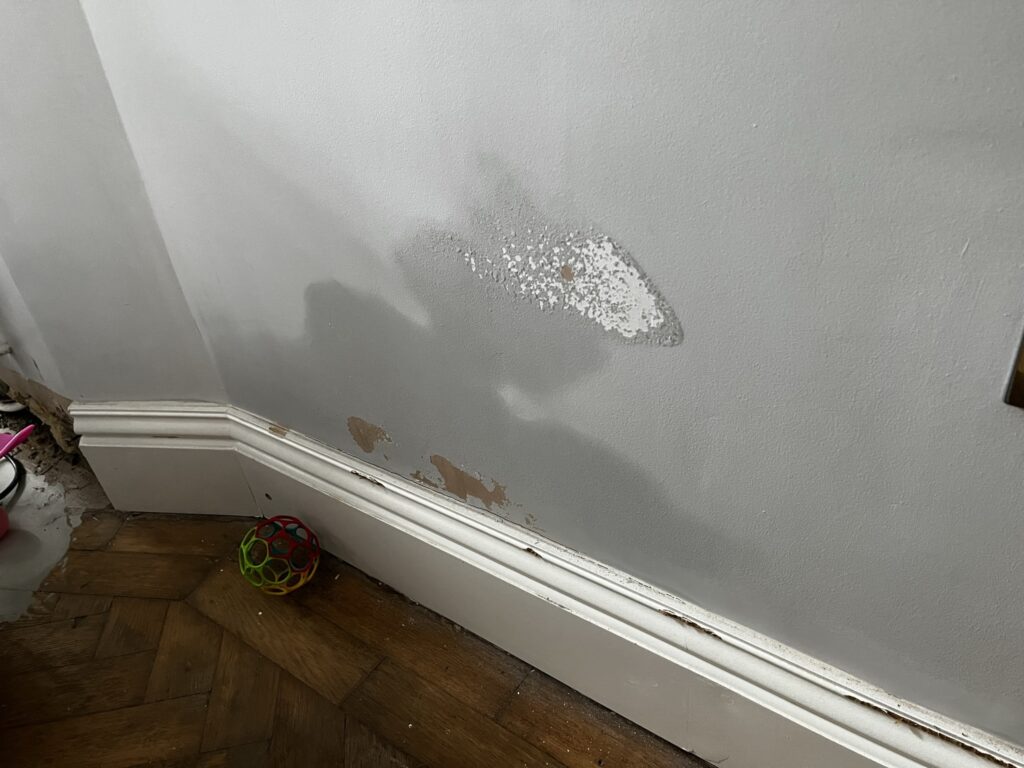 Rising damp and salts